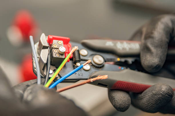 Best Local Electrician Companies  in Elgin, TX